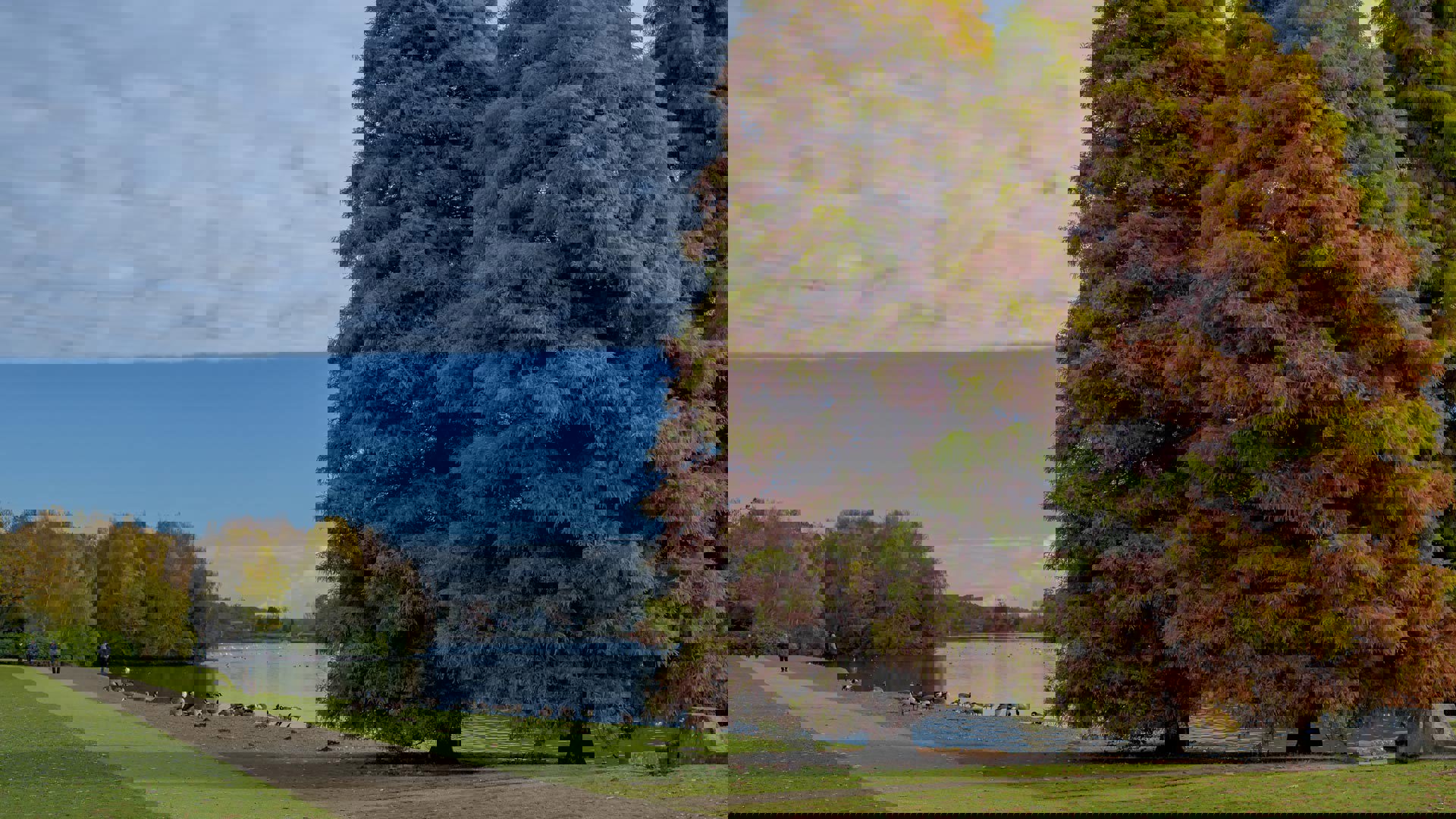 Your local accountants in South Yorkshire